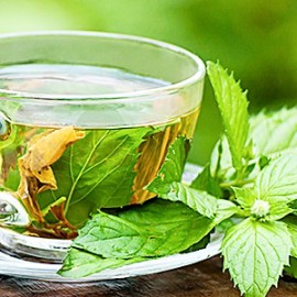 Green Tea Extract For Weight Loss?